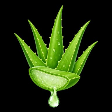 Aloe Vera Suyu