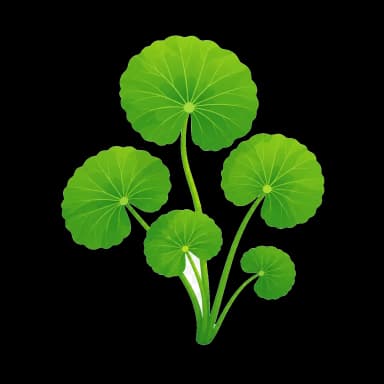 Gotu Kola
